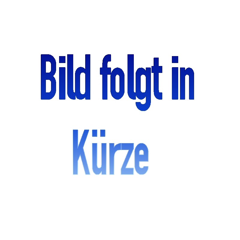 Pufferbohle Flachprofil mit Pufferplatte und Kupplungsführung